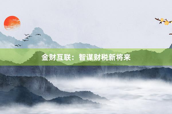 金财互联：智谋财税新将来