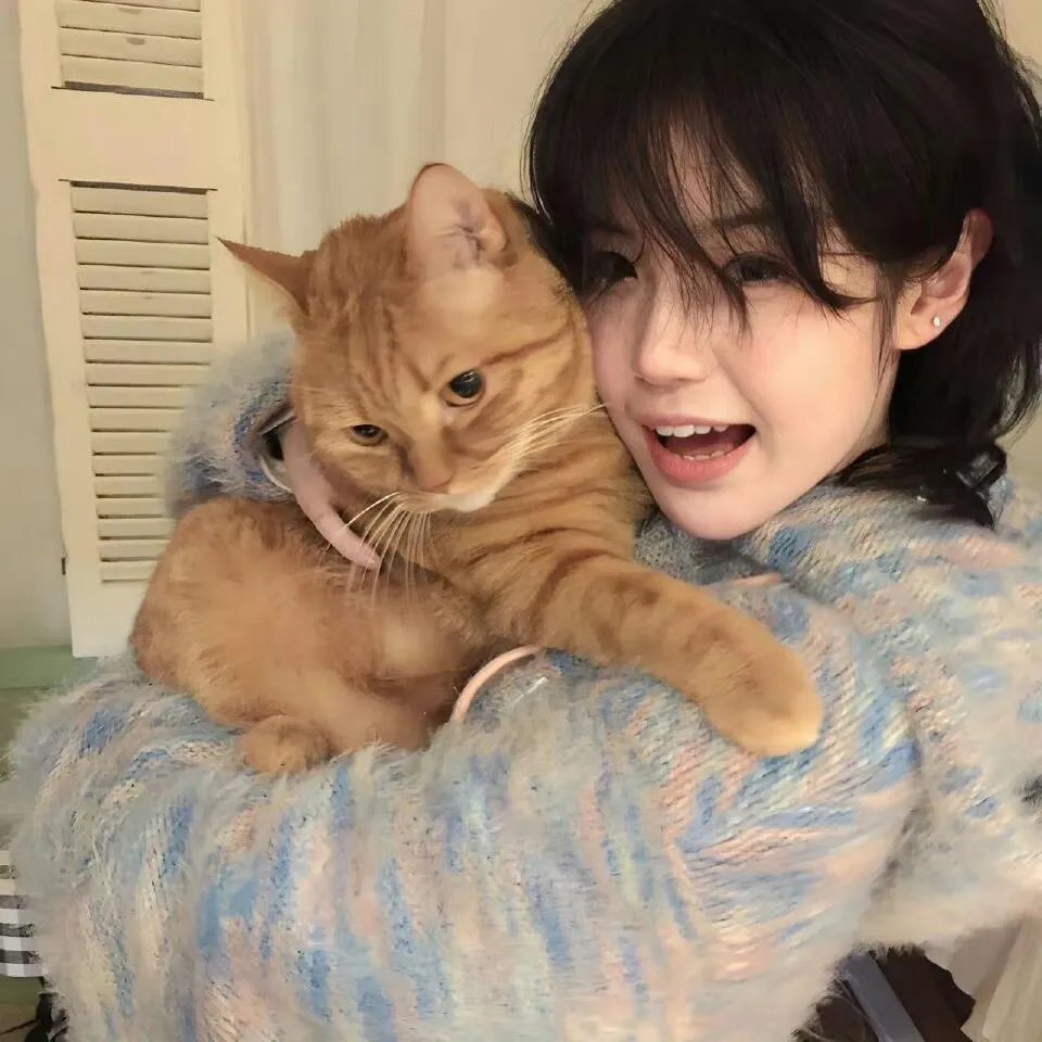 秦时明月之医者入世